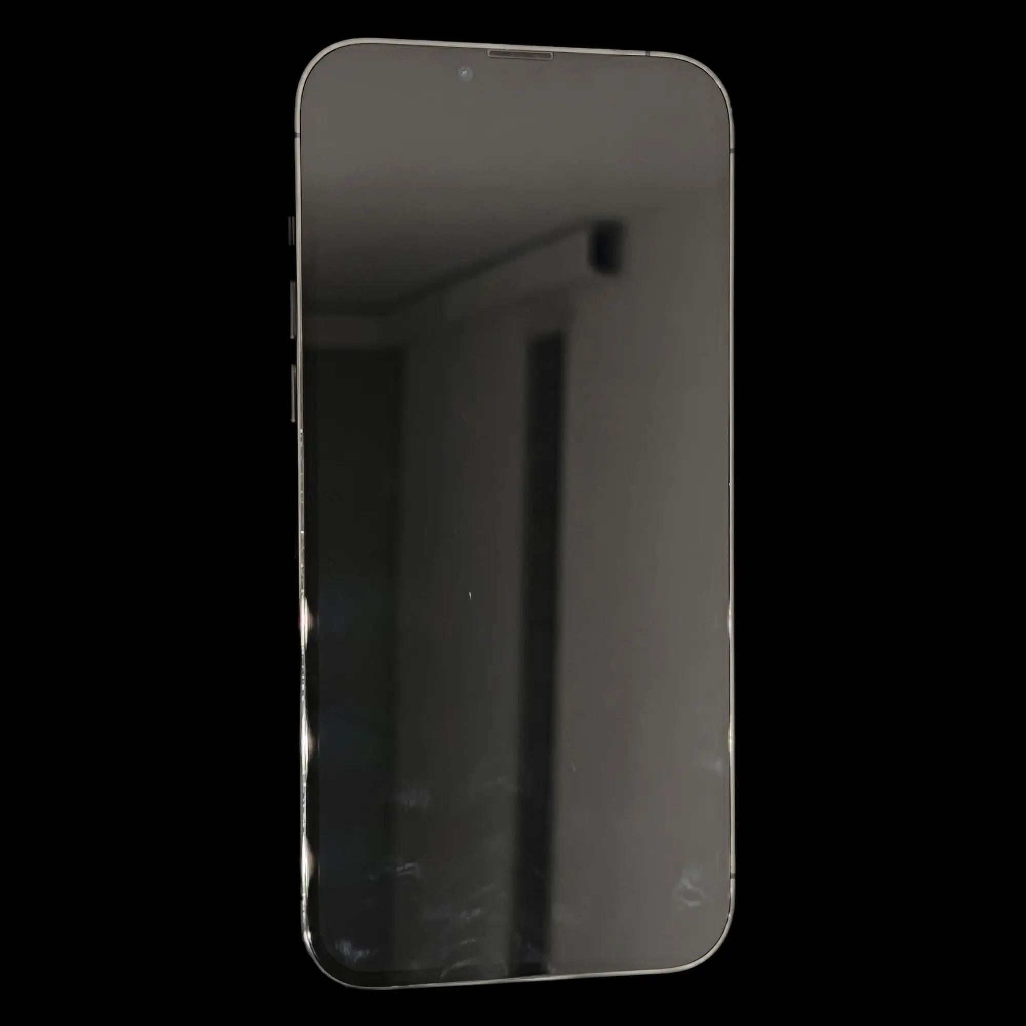 iPhone 13 Pro Max Schwarz 256GB 2 iPhone 13 Pro Max Schwarz 256GB – Bild 2