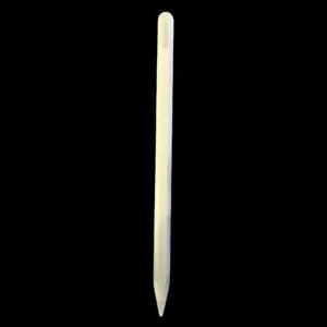 Apple Pencil Pro 2025